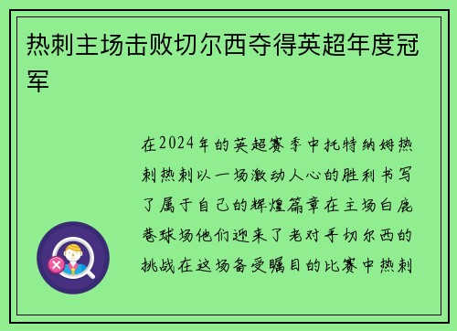 热刺主场击败切尔西夺得英超年度冠军